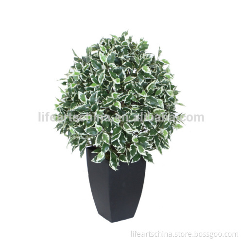 silk ficus, 65cm ficus ball leaf, ficus topiary